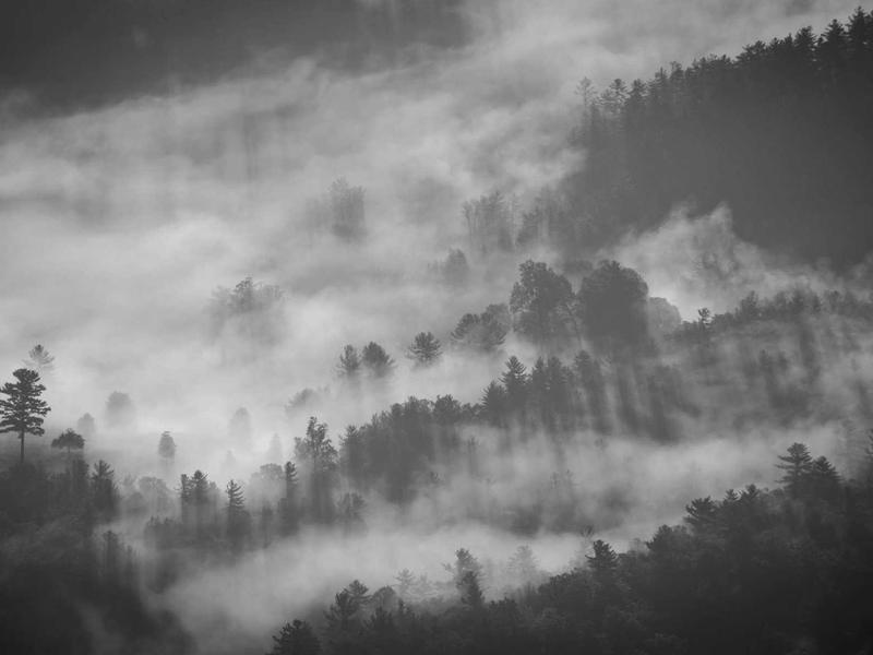 烟雨江南<br>gitbuvf.cn 水乡梦境漫游